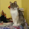 Отзыв от Оксана Пономарева